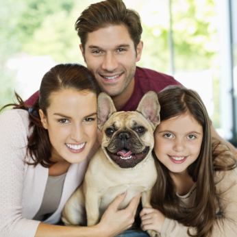 Hunde-Op Versicherung für Französische Bulldogge