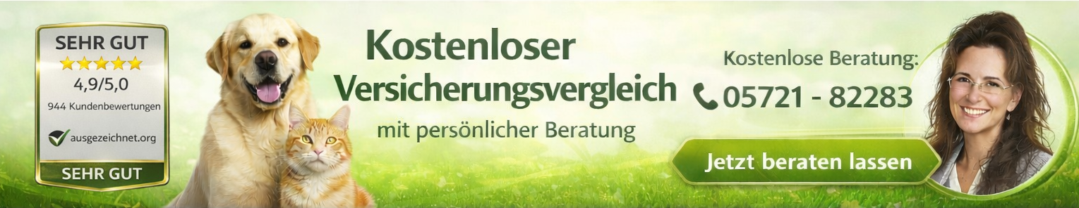 verbraucherforum-info.de