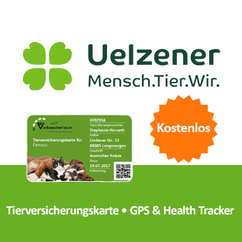 Uelzener Hunde OP Versicherung