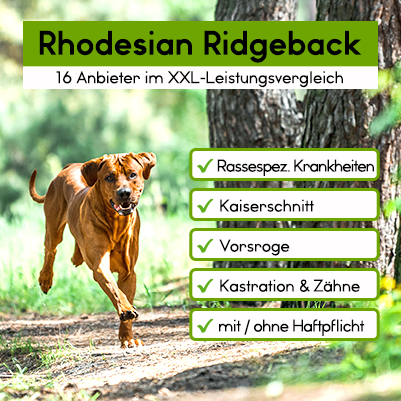 Hundekrankenversicherung für Rhodesian Ridgeback