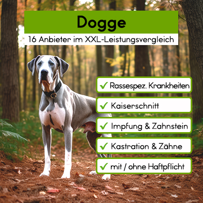 Hunde-OP-Versicherung für Dogge