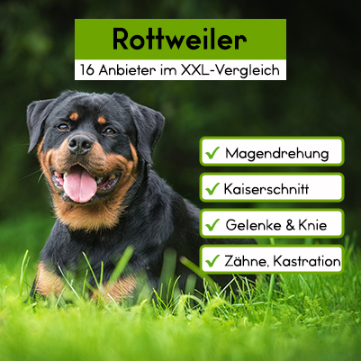 Hunde-OP Versicherung für Rottweiler