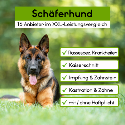 Hunde-OP Versicherung für Schäferhund Hunde-OP-Versicherung für Schäferhund