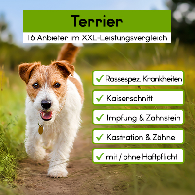 Hunde-Op Versicherung für Terrier Hunde-Op Versicherung für Terrier