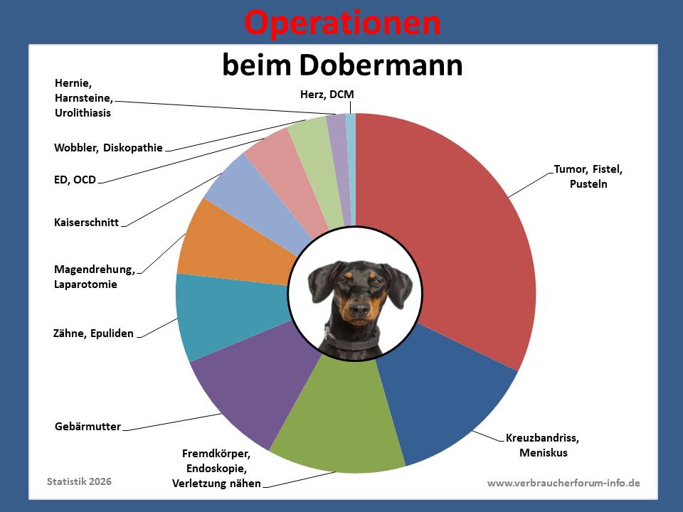 Hunde-OP Versicherung für Dobermann Operationen