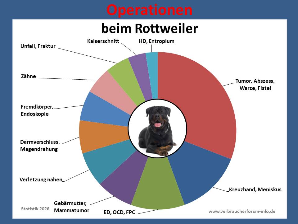 Hunde-OP-Versicherung für Rottweiler Operationen