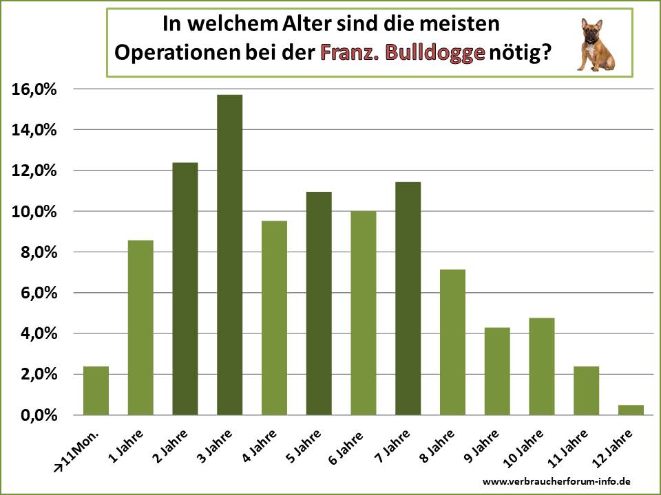In welchem Alter sind Operationen bei der Französischen Bulldogge notwendig?