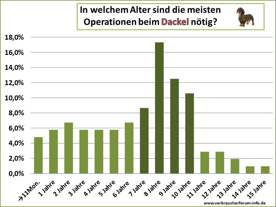 Altersstatistik: In welchem Alter wird ein Dackel am häufigsten operiert?