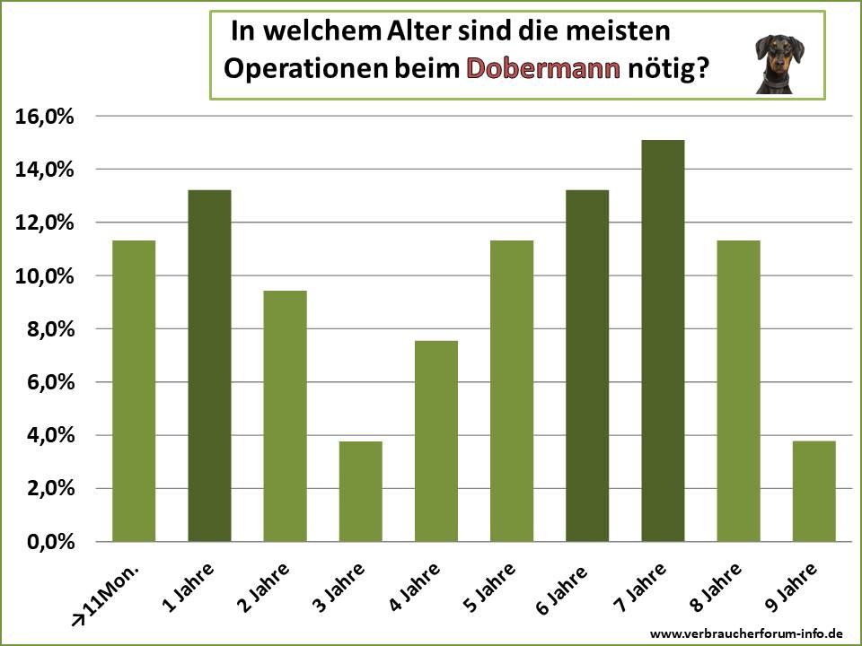 Altersstatistik: Wann muss ein Dobermann am häufigsten operiert werden?
