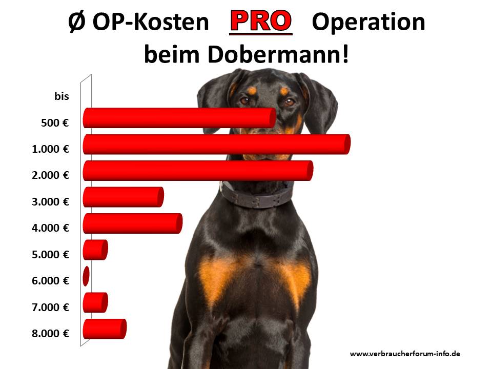 Kosten Statistik: Was kosten Operationen beim Dobermann?