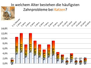 Zahnkrankheiten Katze Altersstatistik
