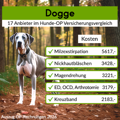 Hunde-OP-Versicherung für Dogge Hunde-OP-Versicherung für Dogge