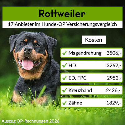 Hunde-OP Versicherung für Rottweiler Hunde-OP Versicherung für Rottweiler