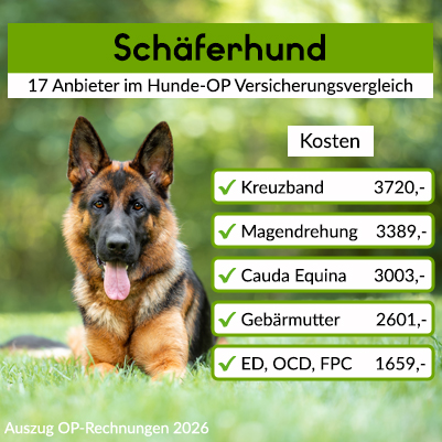 Hunde-OP Versicherung für Schäferhund