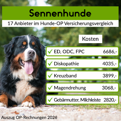Hunde-OP Versicherung für Sennenhunde