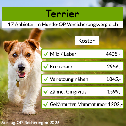 Hunde-Op Versicherung für Terrier Hunde-Op Versicherung für Terrier