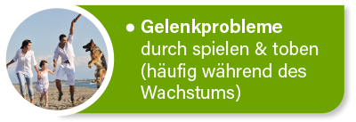 Hundekrankenversicherung für Tierarztkosten bei Gelenkproblemen Hundekrankenversicherung für Tierarztkosten bei Gelenkproblemen
