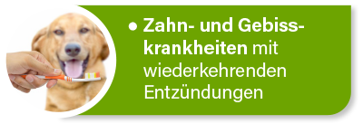 Hundekrankenversicherung für Tierarztkosten bei Zahn- und Gebisskrankheiten Hundekrankenversicherung für Tierarztkosten bei Zahn- und Gebisskrankheiten