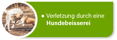 Hundekrankenversicherung für Tierarztkosten bei Verletzungen z.B. bei einer Hundebeisserei Hundekrankenversicherung für Tierarztkosten bei Verletzungen z.B. bei einer Hundebeisserei