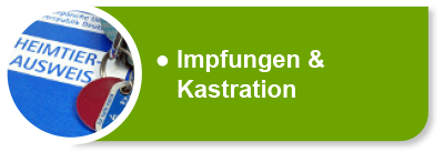 Hundekrankenversicherung für Impfung und Kastration
