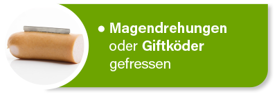 Hundekrankenversicherung für Tierarztkosten bei Magendrehung oder verschluckten Giftköder Hundekrankenversicherung für Tierarztkosten bei Magendrehung oder verschluckten Giftköder