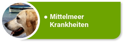 Hundekrankenversicherung für Tierarztkosten, Dauermedikation und Kontrolluntersuchungen bei Mittelmeerkrankheiten Hundekrankenversicherung für Tierarztkosten, Dauermedikation und Kontrolluntersuchungen bei Mittelmeerkrankheiten