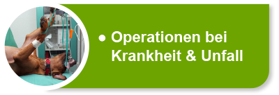 Hundekrankenversicherung für Operationen bei Krankheit Hundekrankenversicherung für Operationen bei Krankheit