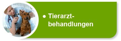 Hundekrankenversicherung für Tierarztbehandlungen Hundekrankenversicherung für Tierarztbehandlungen
