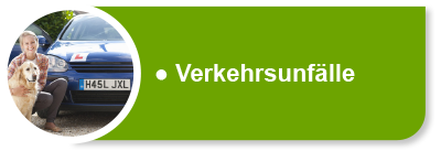 Hundekrankenversicherung für Unfälle oder Verkehrsunfälle Hundekrankenversicherung für Unfälle