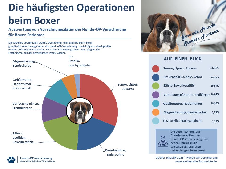 Statistik: Hunde-OP Versicherung für Boxer Operationen und Eingriffe