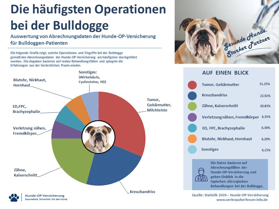 Statistik: Hunde-OP Versicherung für Bulldogge Operationen und Eingriffe
