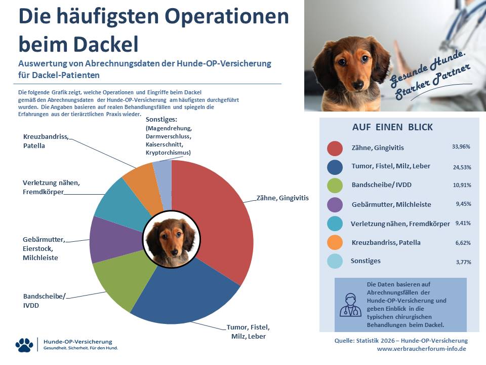OP-Statistik zur Hunde-OP Versicherung für Dackel Operationen und Eingriffe eigene Leistungsfälle Verbraucherforum