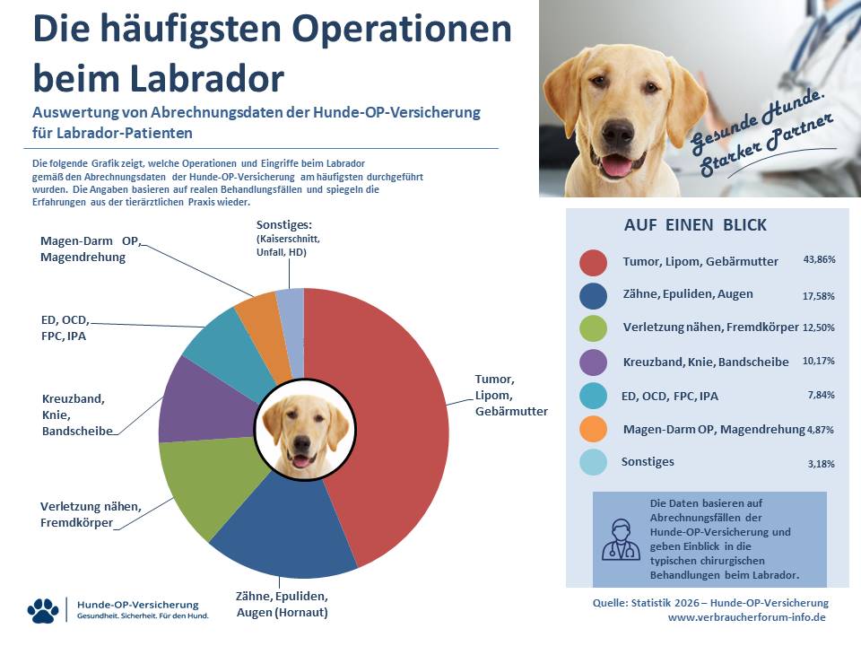 Statistik: Hunde-OP Versicherung für Labrador Operationen und Eingriffe