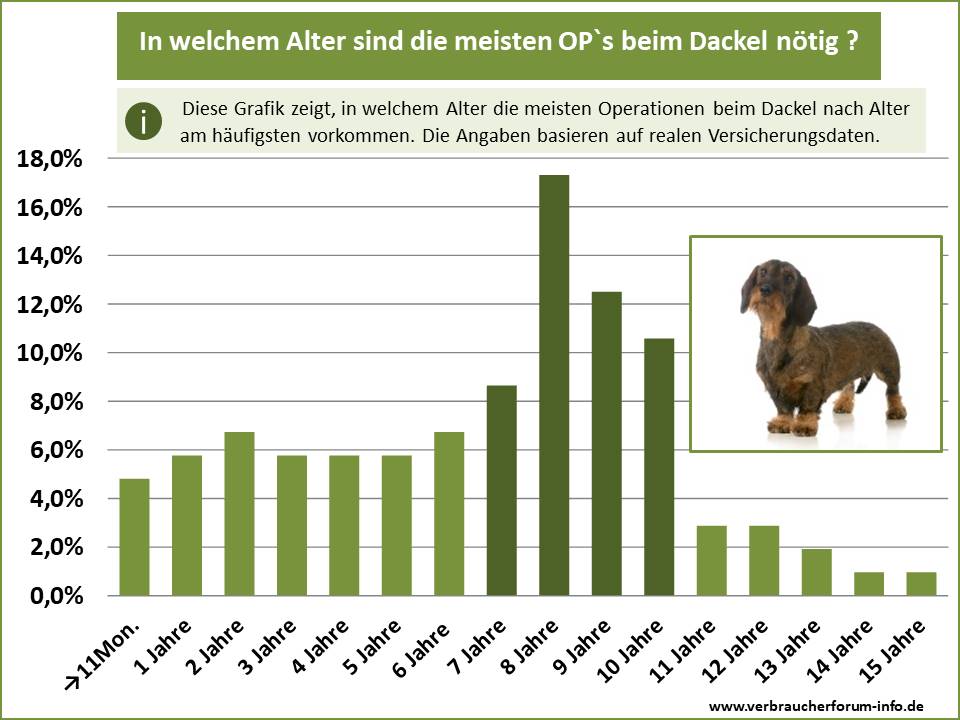 Statistik: In welchem Alter das OP-Risiko beim Dackel am höchsten ist aus eigenen Leistungsfällen Verbraucherforum