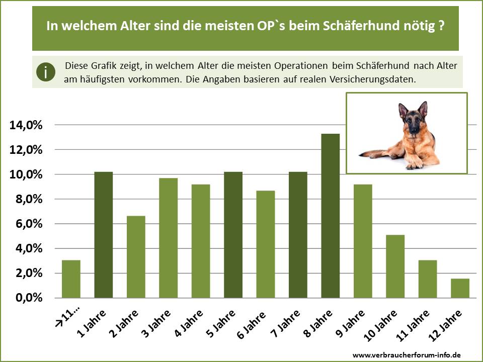 OP-Altersstatistik: In welchem Alter wird ein Schäferhund am häufigsten operiert