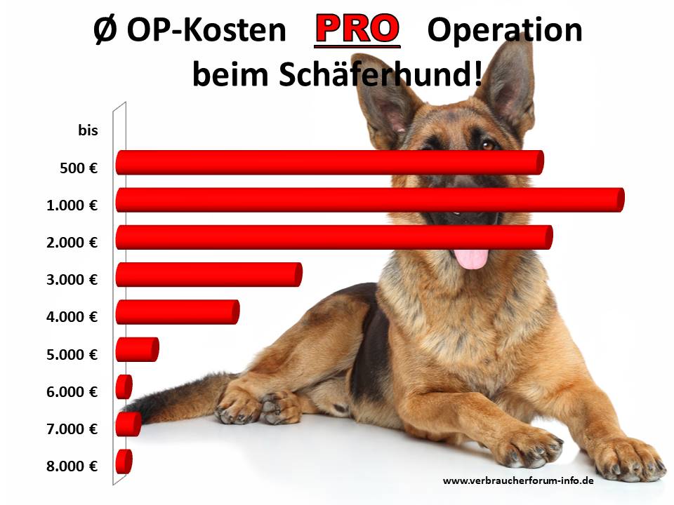OP-Kosten Statistik: Was kosten Operationen beim Schäferhund