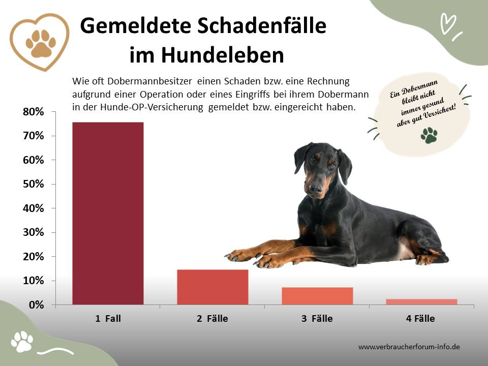 OP-Statistik gemeldete Leistungsfälle Hunde-OP Versicherung für Dobermann beim Verbraucherforum