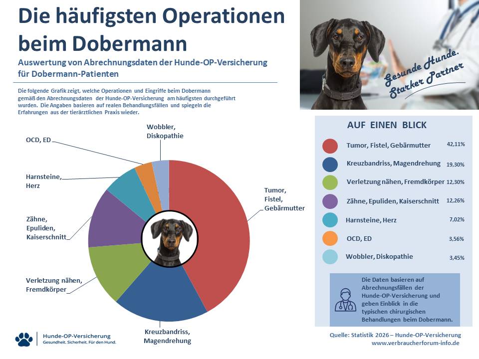 OP-Statistik häufige Operationen und Eingriffe beim Dobermann eigene Leistungsfälle Verbraucherforum