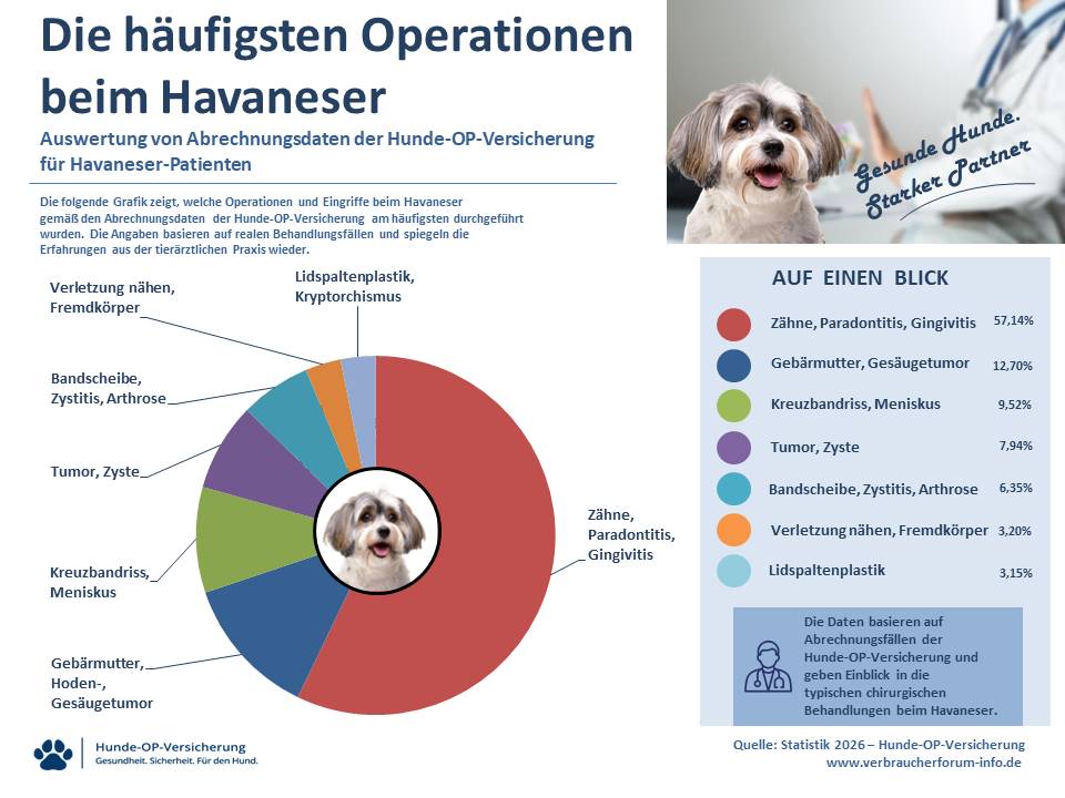 OP-Statistik häufige Operationen und Eingriffe beim Havaneser eigene Leistungsfälle Verbraucherforum