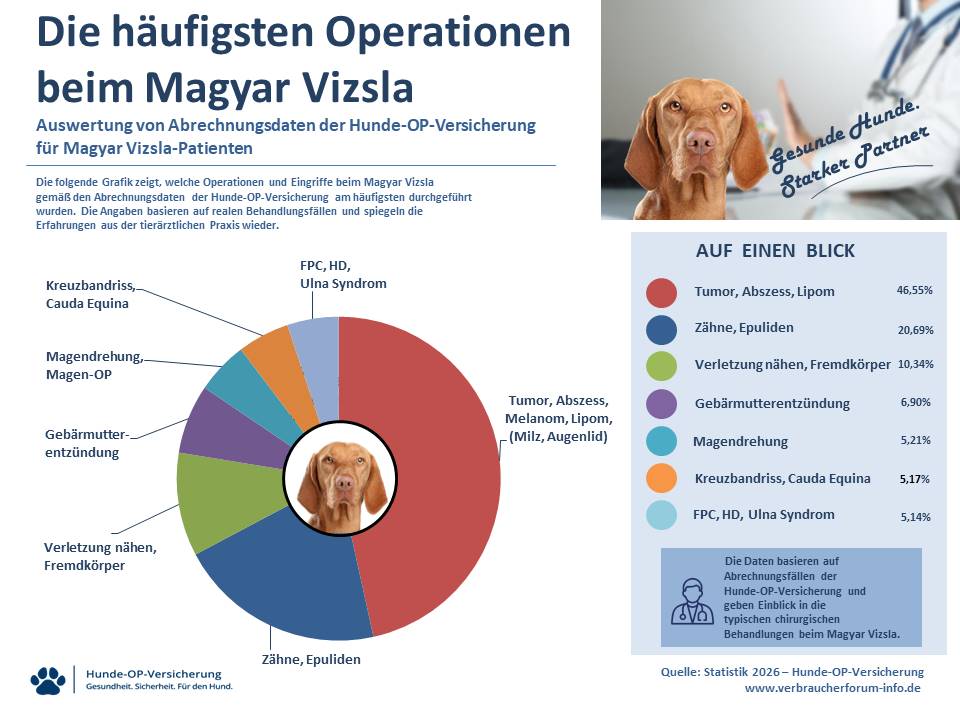 OP-Statistik häufige Operationen und Eingriffe beim Magyar Vizsla eigene Leistungsfälle Verbraucherforum