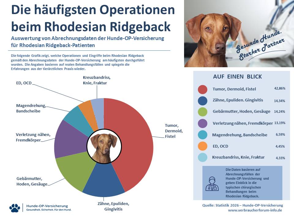 OP-Statistik zur Hunde-OP Versicherung für Rhodesian Ridgeback Operationen und Eingriffe eigene Leistungsfälle Verbraucherforum