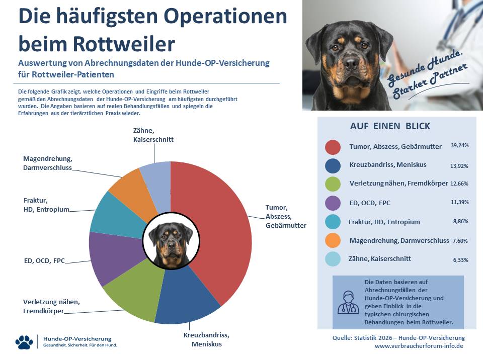 OP-Statistik: Häufige Operationen und Eingriffe in der Hunde-OP Versicherung für Rottweiler