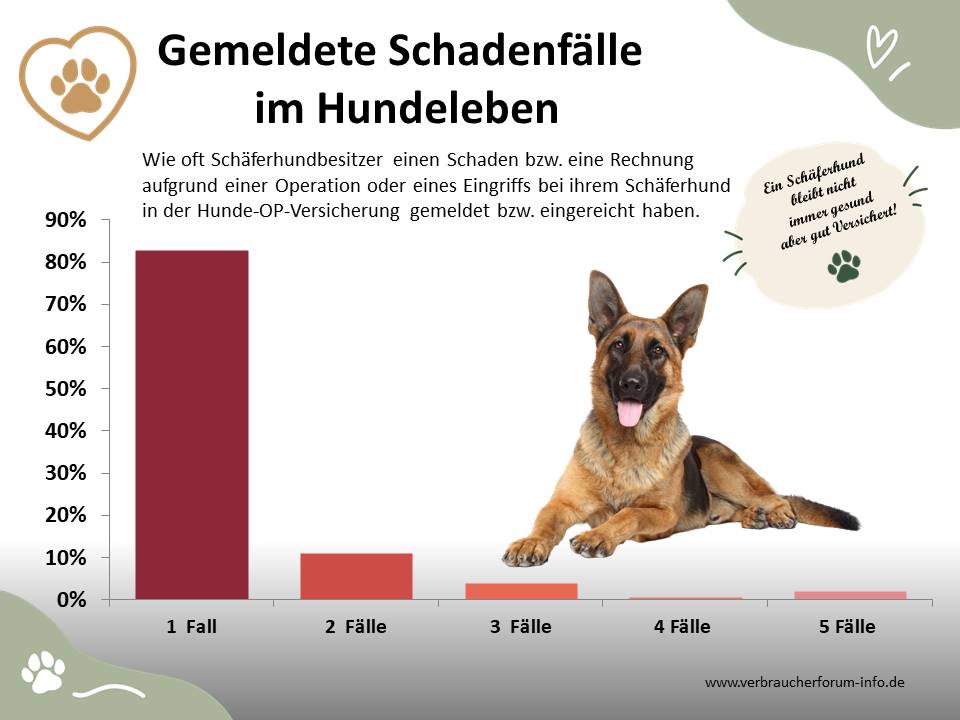 OP-Statistik: Gemeldete Leistungsfälle beim Schäferhund